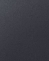 Envision 018 Mocha by   