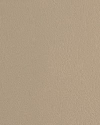 Envision 019 Mushroom by   