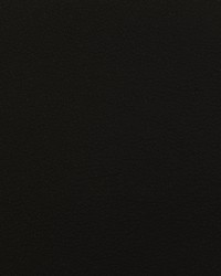 Envision 021 Onyx by   