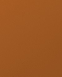 Envision 022 Papaya by   