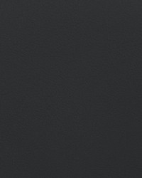 Envision 025 Peppercorn by   