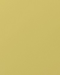 Envision 027 Polenta by   