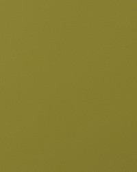 Envision 028 Pomelo by   