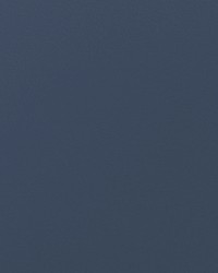 Envision 031 Shadow by   