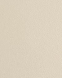 Envision 032 Swan by   