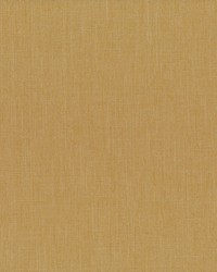 Euphoria 57 Golden by   