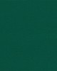 Abbeyshea Fabrics Sunbrella® Exceed FR 8753 Forest Green