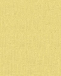 Exuberance 502 Butter by   