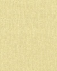 Exuberance 64 Lemon white by   