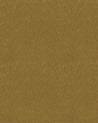 Felicity 54 Sunflower by   