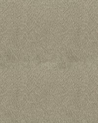 Felicity 64 Putty by   