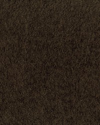 Felicity 83 Cocoa by   