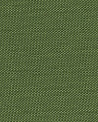 Filbert 208 Grass by   