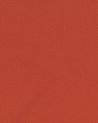 Filbert 44 Sunset by   