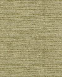 Fortress 20 Patina by   