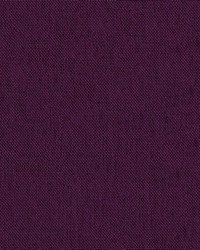 Foundation 3009 Zantium by   