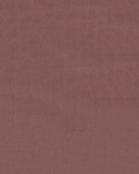 Franklin 105 Blush by   