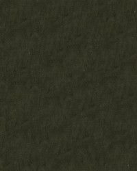 Franklin 609 Mink by   