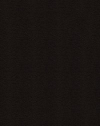 Garnet 9009 Midnight by   