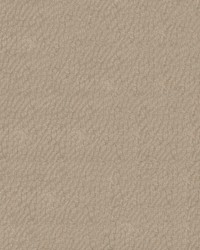 Gemini 2561 Pearl by   