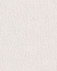 Gemini 2564 Alabaster White by   