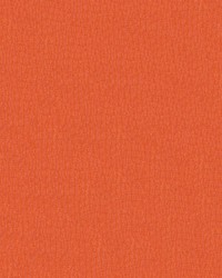 Gemini 2569 Tangerine by   