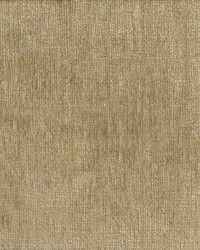 Capture Taupe by   