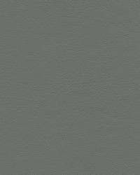 G Grain 7114 Medium Graphite by   