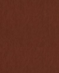 Gilded 405 Sandalwood by   