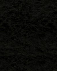 Gilded 9009 Black by   