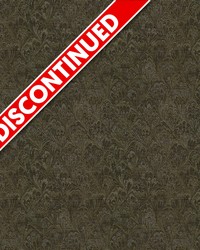 Glam 6009 Chinchilla by   