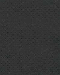 Hampton Perf 6508 Ebony by   