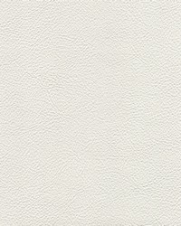 Hampton Trim 2616 Snow by   