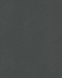 Hampton Trim 6439 Granite by   