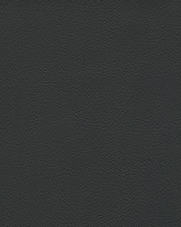 Hampton Trim 6508 Ebony by   