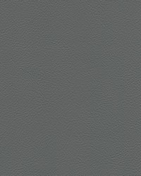 Hampton Trim 6687 Md Opal by   