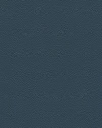 Hampton Trim 6800 Lapis Blue by   