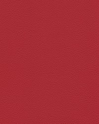 Hampton Trim 6884 Torch Red by   