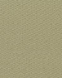 Headliner 2303 LtParchment60in Flat Knit by  Abbeyshea Fabrics 