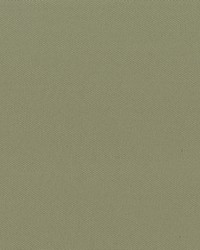 Headliner 2335 LtNeutral60in Flat Knit by  Abbeyshea Fabrics 