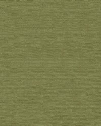 Heavenly 205 Apple by   