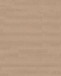 Hercules 68 Beige by  Abbeyshea Fabrics 