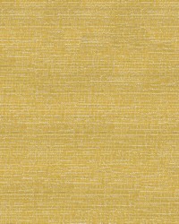 Imagine 51 Yellow by   