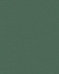 Independence Vizcaya Palm by   