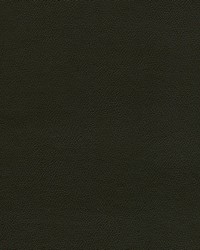 Independence Espresso by   