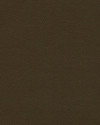 Independence Mocha by   