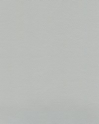 Independence Platinum by   