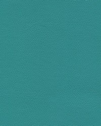 Independence Turquoise by   