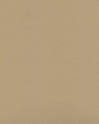 Independence Coffee Cream by   