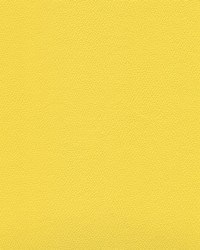 Independence Lemon Peel by   